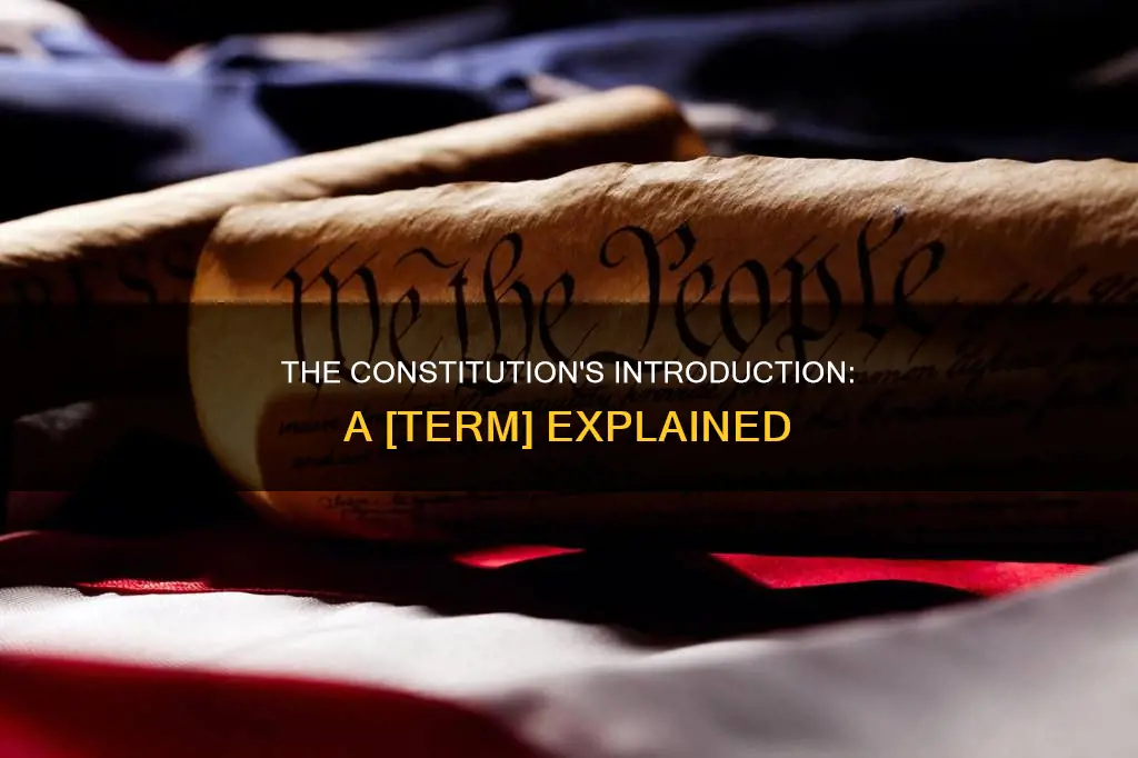 what term is applied to the introduction to the constitution