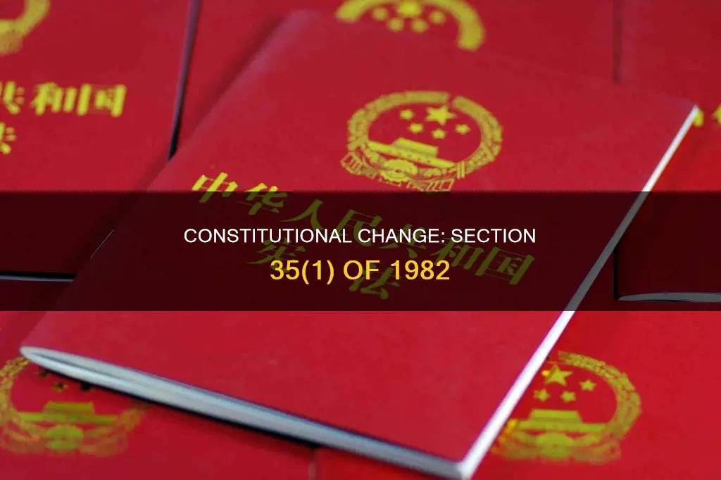 what the 1982 constitution section 35 1 did