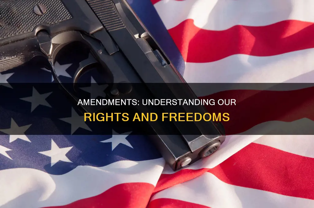 what the amendments mean