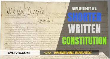 A Concise Constitution: Benefits of Brevity