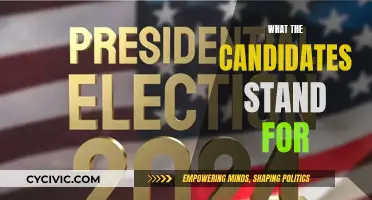 Candidates' Vision: Their Promises and What They Stand For