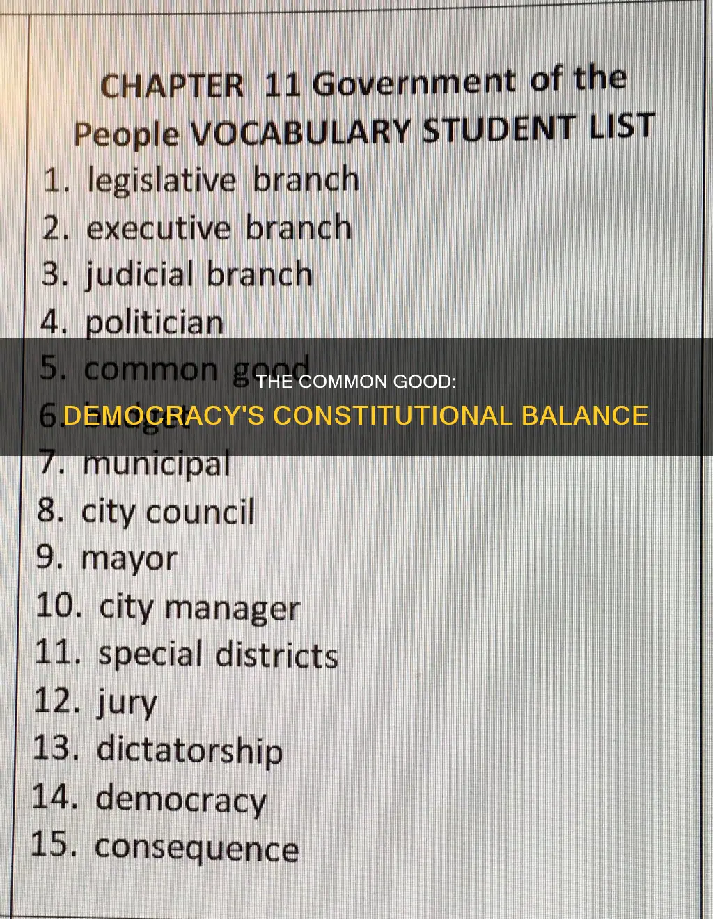 what the common good represents in a constitutional democracy