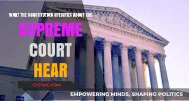 Supreme Court Hearings: What the Constitution Says