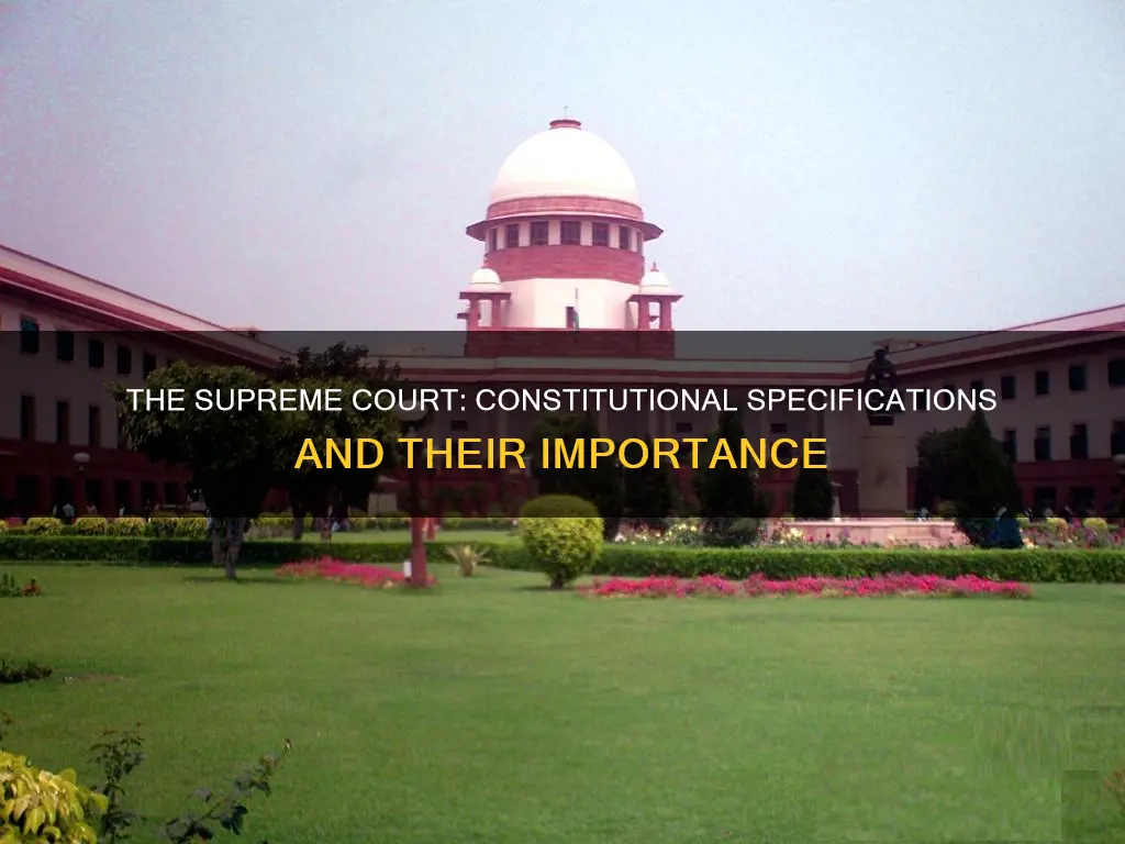 what the constitution specifies about the supreme court