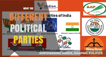 Understanding the Diverse Ideologies of Political Parties Worldwide