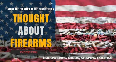 Founders' Vision: Firearms and the Constitution
