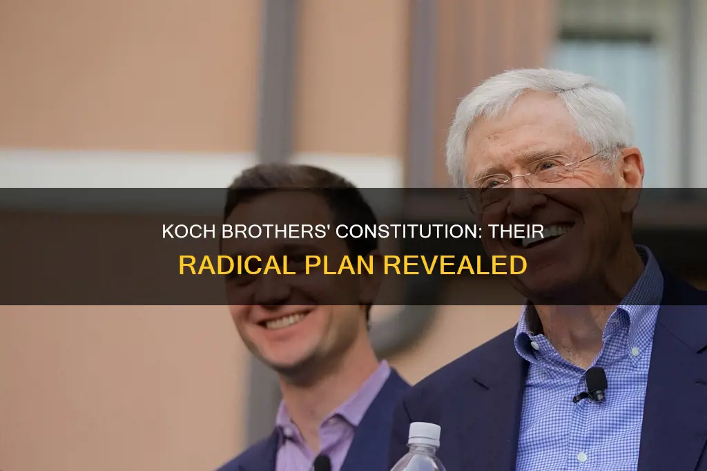 what the koch brothers want to do to the constitution