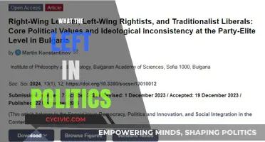 Understanding the Left: Core Values, Policies, and Political Impact