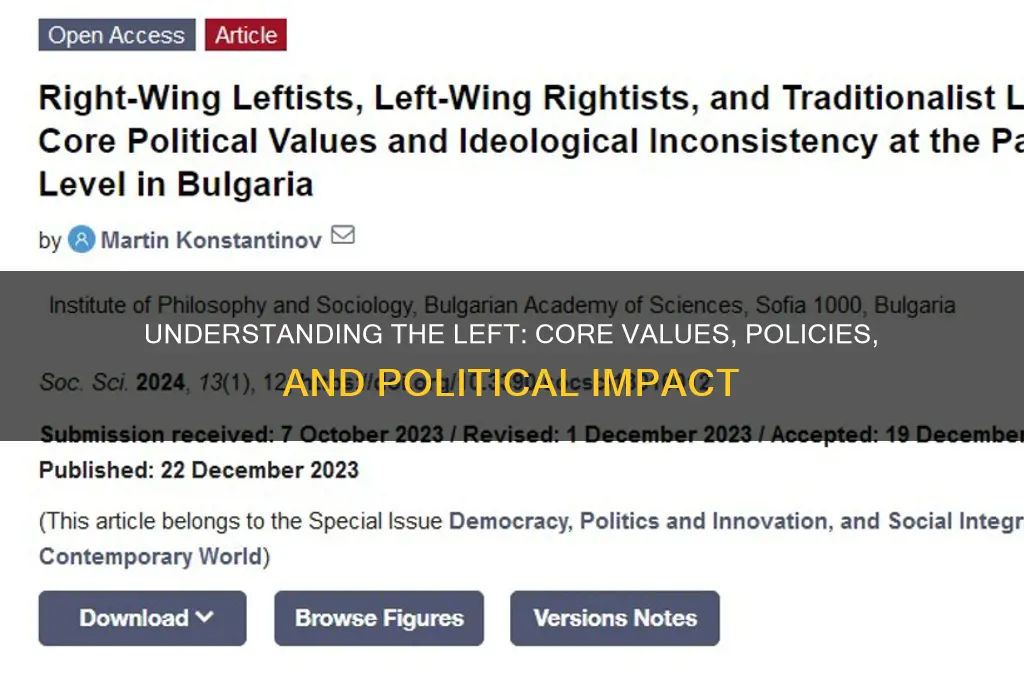 what the left in politics