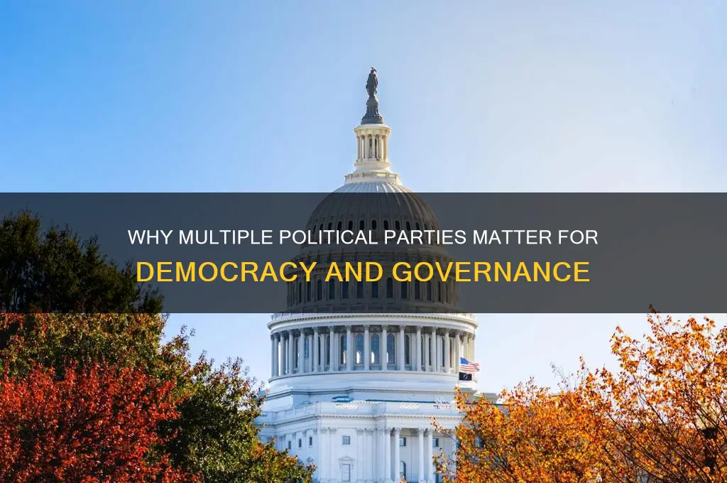 what the point of multiple political parties
