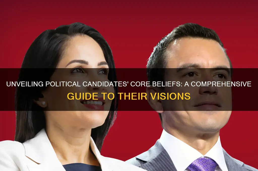 what the political candidates believe