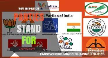 Understanding Political Ideologies: What Each Party Advocates and Represents