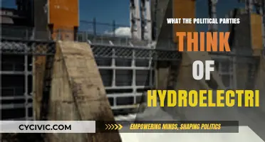 Hydroelectricity Policies: Political Parties' Stances and Future Energy Visions