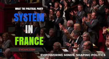 Understanding France's Political Party System: Structure, Influence, and Dynamics