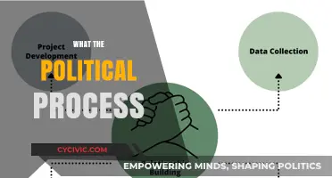 Understanding the Political Process: A Comprehensive Guide to Civic Engagement