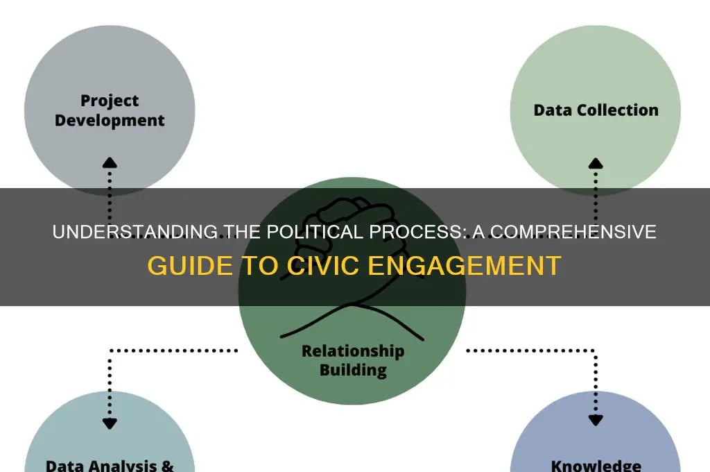 what the political process