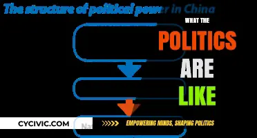 Understanding the Complex Dynamics of Modern Political Landscapes and Power Structures