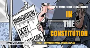 Senatorial Terms: Constitutional Definition and Details