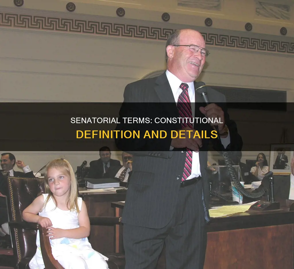 what the terms for senators as defined in the constitution