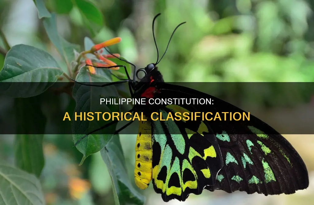 what then is the classification of the philippine constitution
