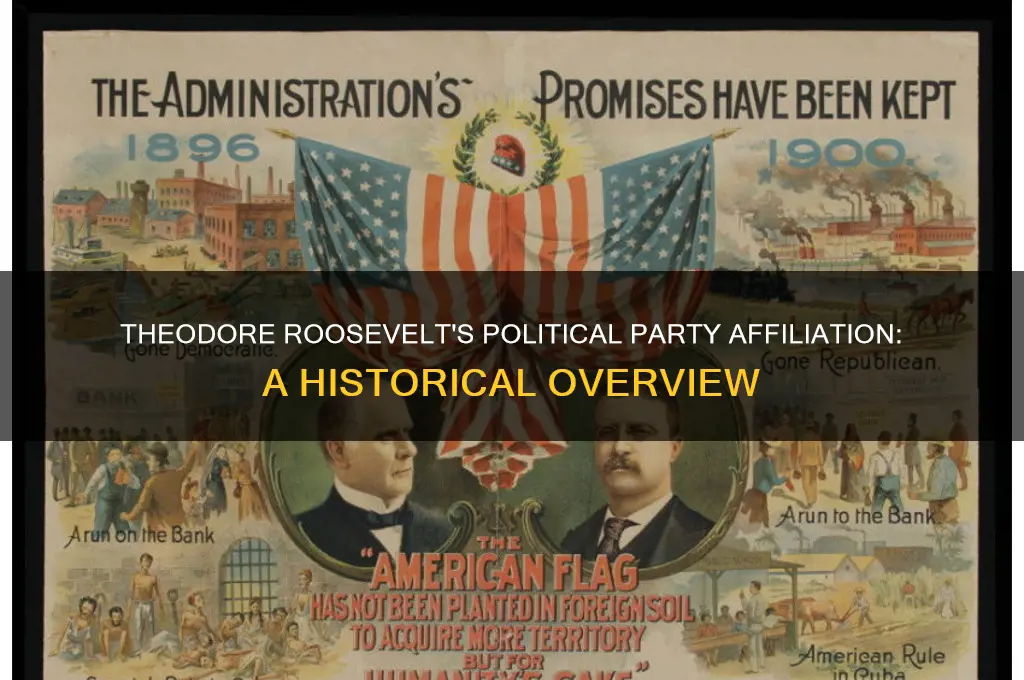 what theodore roosev political party did theodore roosevelt identify with