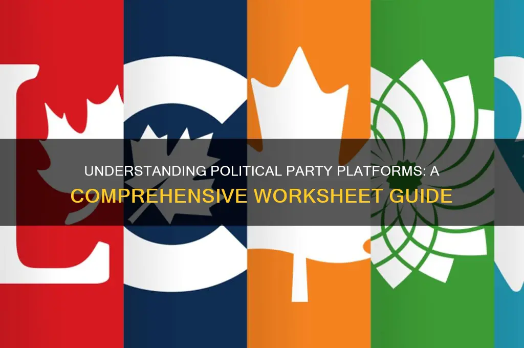 what they stand for political party worksheet