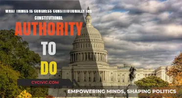 Congress' Constitutional Powers: What Can They Do?