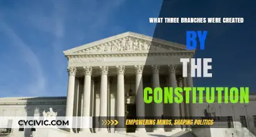 Constitution's Three Branches: Executive, Legislative, and Judicial