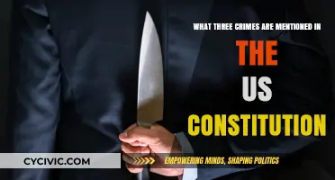 Crimes in the US Constitution: Treason, Piracy, Counterfeiting