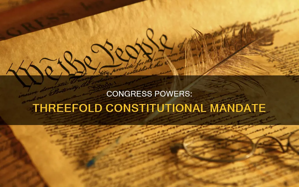 what three different powers does the constitution delegate to congress