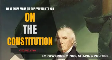 Federalists' Constitution Fears: Foreign Influence, Division, Anarchy