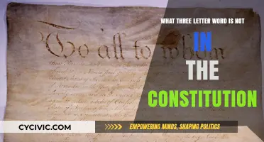 The Missing Three-Letter Word in the Constitution