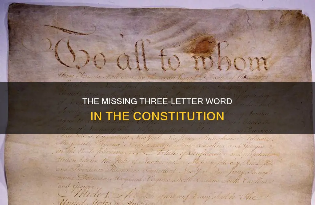 what three letter word is not in the constitution