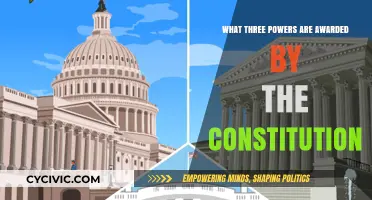 The Constitution's Three Key Powers Explained