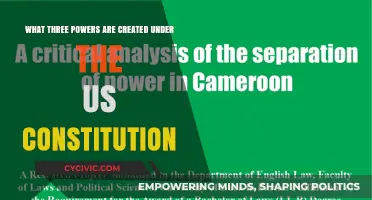 Explore the Three Powers Created by the US Constitution