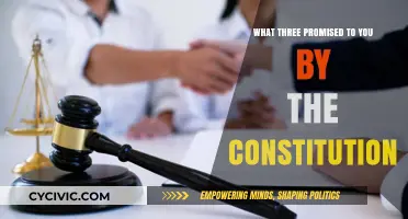 The Constitution's Three Promises to Americans