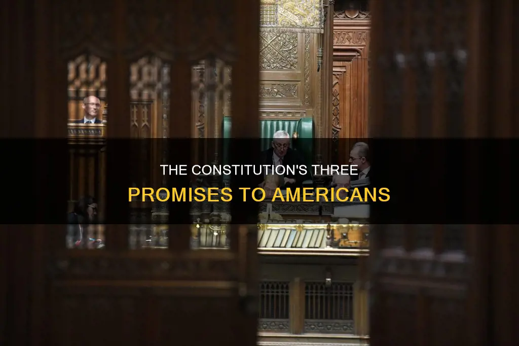 what three promised to you by the constitution