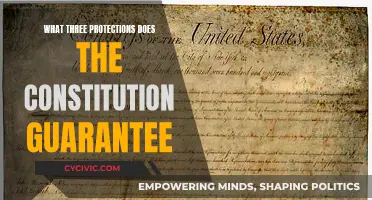 Constitutional Safeguards: Three Key Protections Guaranteed by the Founding Fathers