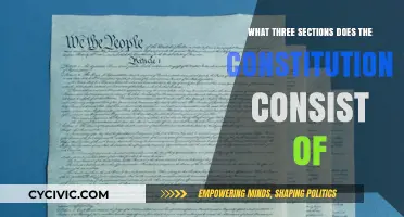 Constitution's Three Pillars: Understanding the Foundation