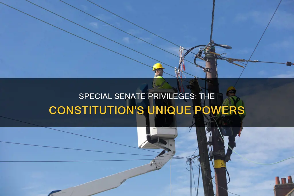 what three special powers does the constitution give the senate