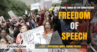 Freedom of Speech: Exploring the Constitutional Trinity