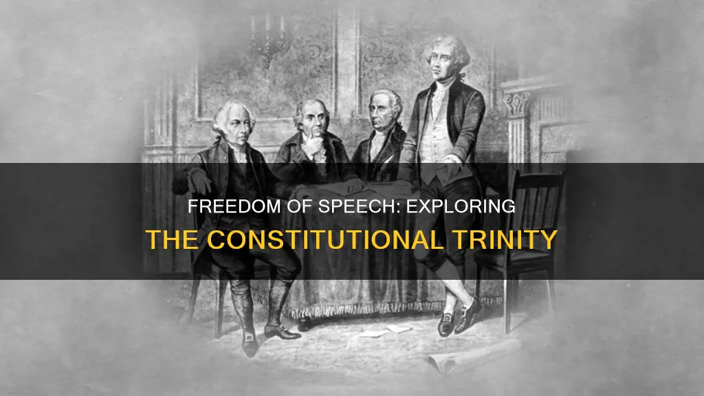 what three things by the constitution freedom of speech