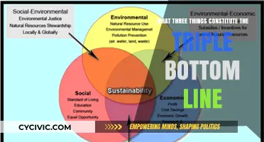 Triple Bottom Line: Three Key Factors for Sustainable Success
