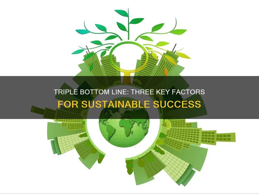 what three things constitute the triple bottom line