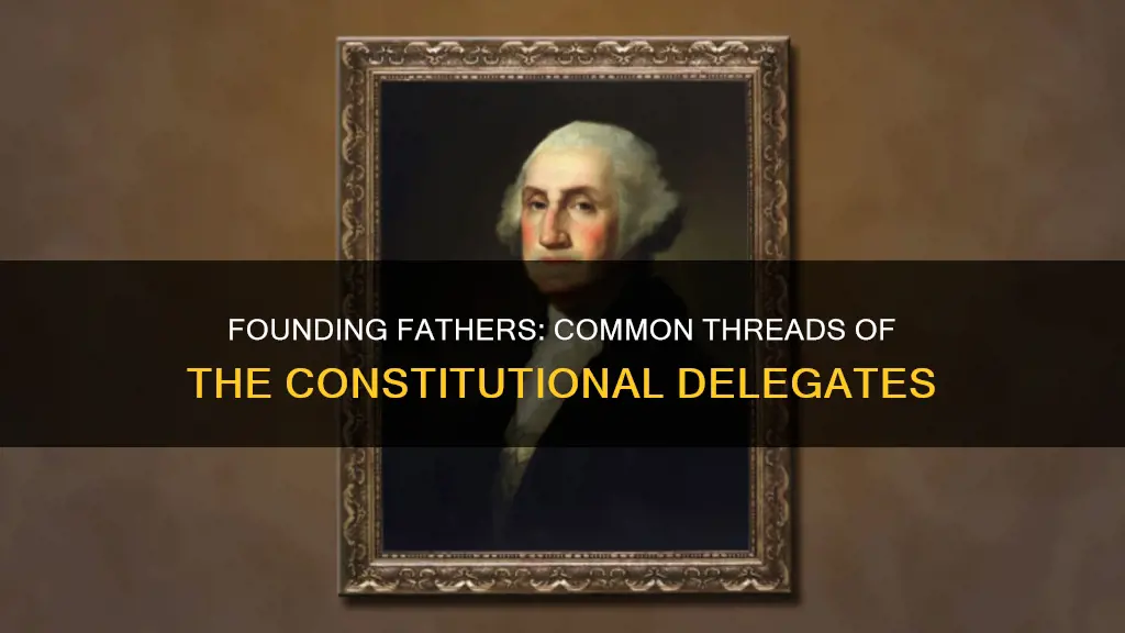 what three things did the constitutional delegates have in common