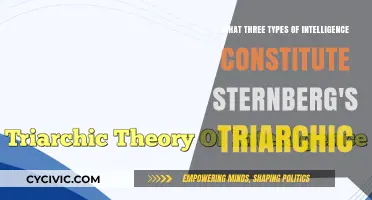 Sternberg's Triarchic Theory: Analytic, Creative, Practical Intelligence