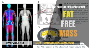 Exploring Fat-Free Mass: Understanding Body Tissue Composition