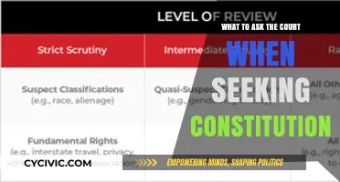 Questions to Ask When Testing Constitutionality in Court