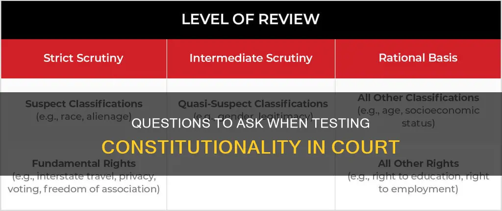 what to ask the court when seeking constitutionality