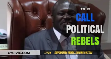 Naming the Unruly: What to Call Political Rebels and Why It Matters